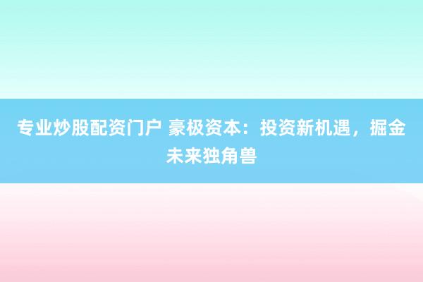 专业炒股配资门户 豪极资本：投资新机遇，掘金未来独角兽