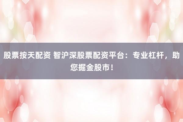 股票按天配资 智沪深股票配资平台：专业杠杆，助您掘金股市！