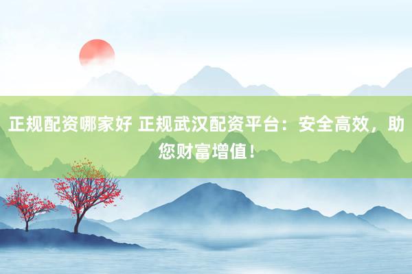 正规配资哪家好 正规武汉配资平台：安全高效，助您财富增值！