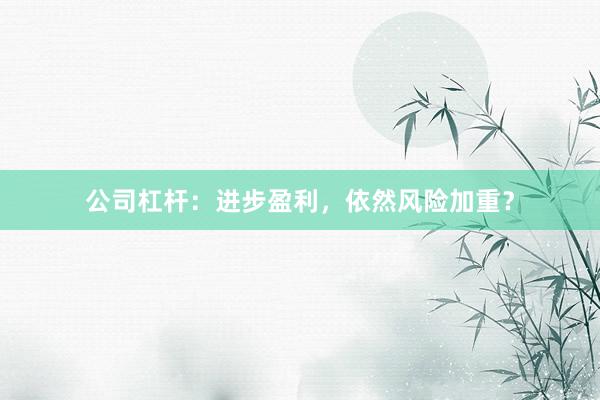 公司杠杆：进步盈利，依然风险加重？