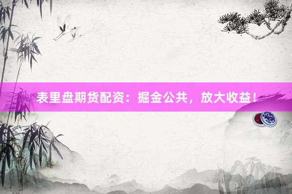 表里盘期货配资：掘金公共，放大收益！