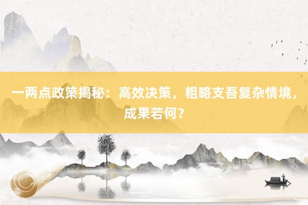 一两点政策揭秘：高效决策，粗略支吾复杂情境，成果若何？