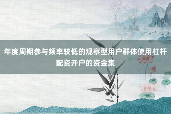 年度周期参与频率较低的观察型用户群体使用杠杆配资开户的资金集