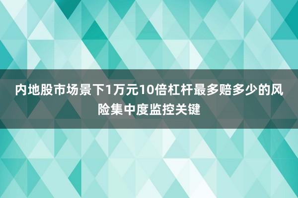 内地股市场景下1万元10倍杠杆最多赔多少的风险集中度监控关键