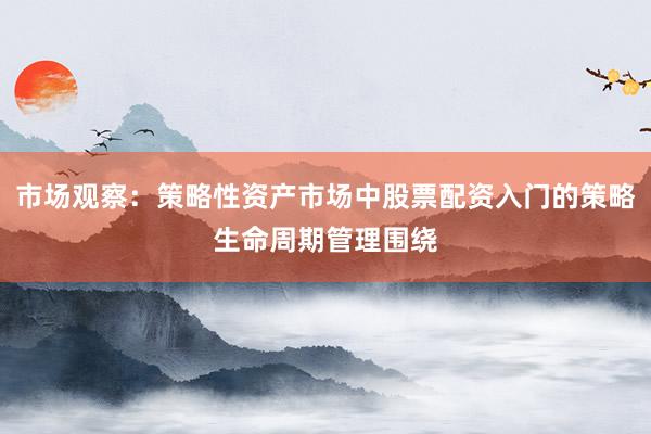 市场观察：策略性资产市场中股票配资入门的策略生命周期管理围绕