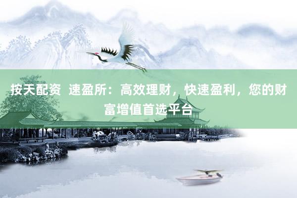 按天配资  速盈所：高效理财，快速盈利，您的财富增值首选平台